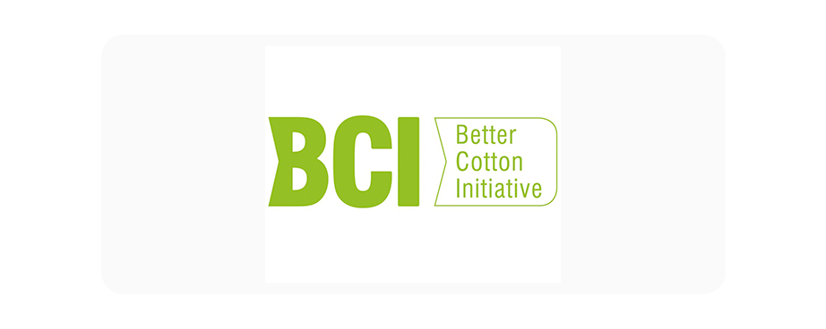 Selo BCI